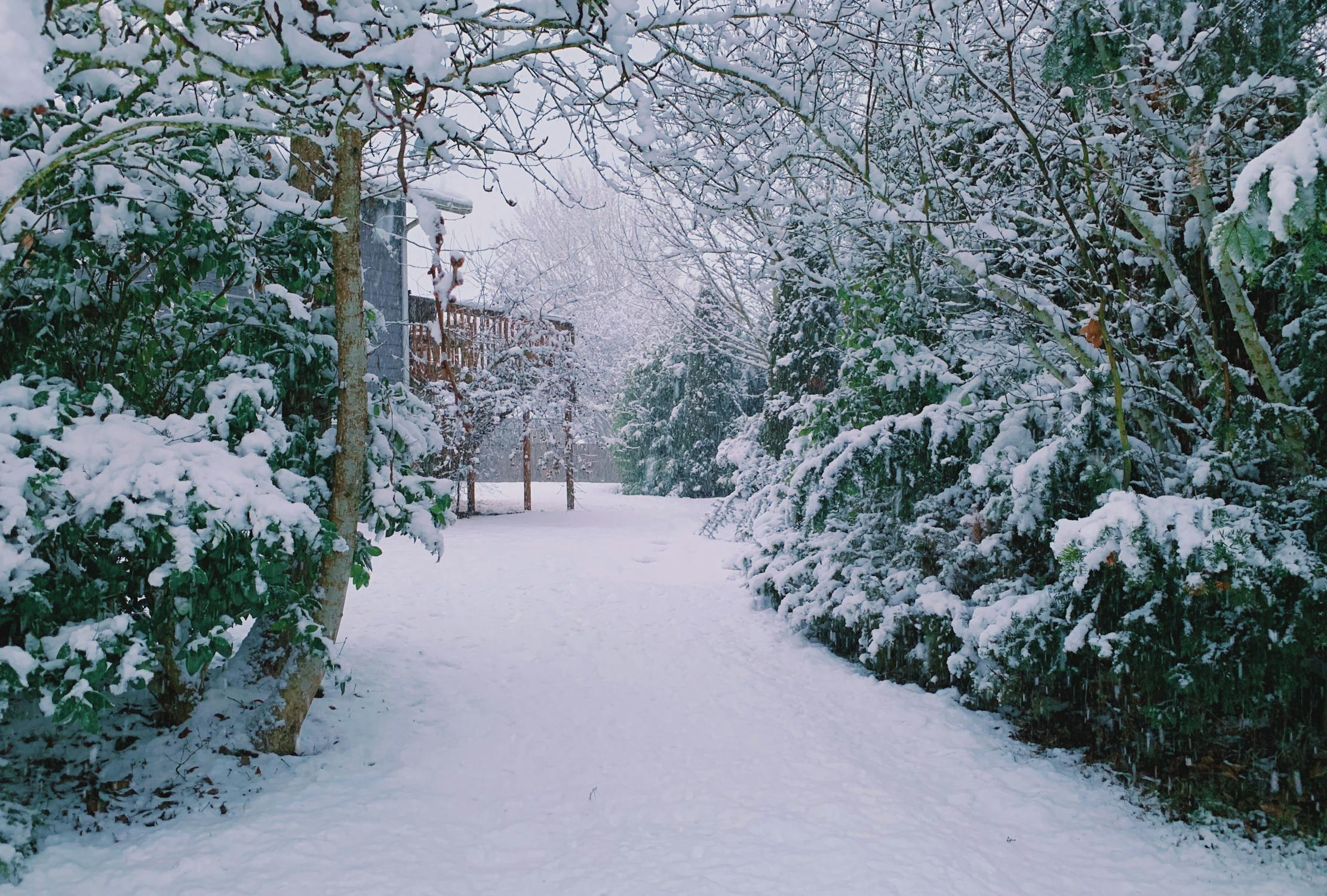 Préparer son jardin en hiver